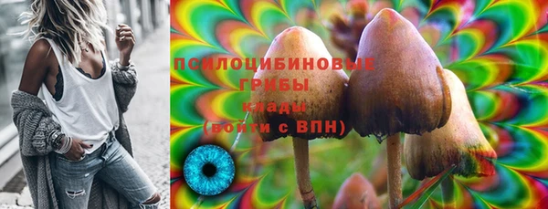 дмт Нефтегорск